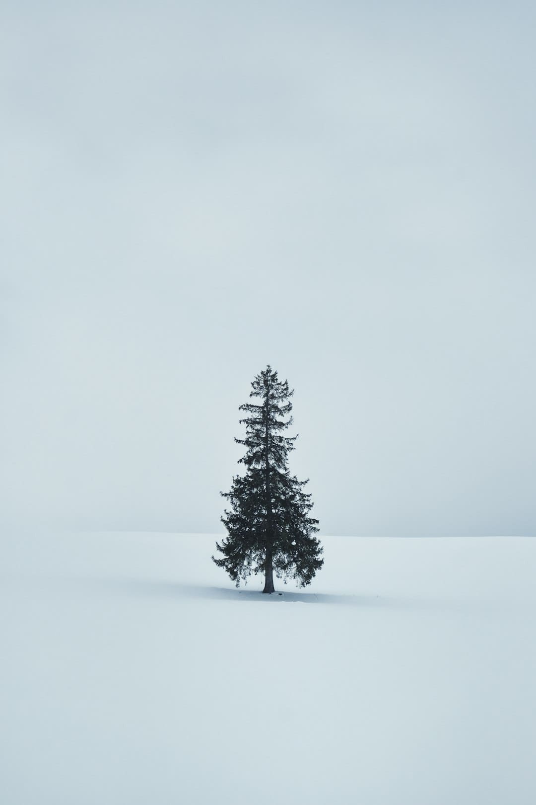 https://p3.img.cctvpic.com/photoworkspace/contentimg/2025/09/06/2025090609253635953.jpg